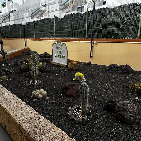 Benny With Garage 阿德耶