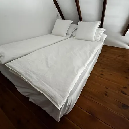 Benny With Garage 公寓 阿德耶